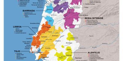 葡萄牙的葡萄酒地图